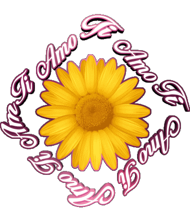 02 Ti Amo Italien Messages 