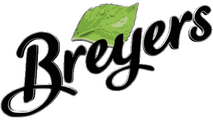 Breyers Ice cream Food 