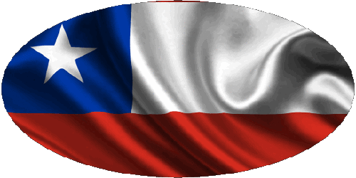 Oval Chile America Flags 