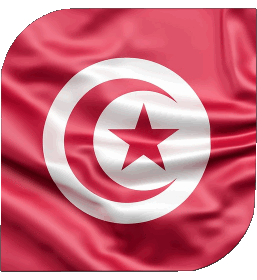 Carré Tunisie Afrique Drapeaux 