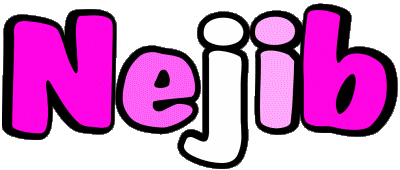 Nejib N MASCULINO - Magreb Musulmán Nombre 