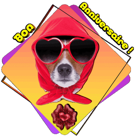 012 Animaux Bon Anniversaire French Messages 