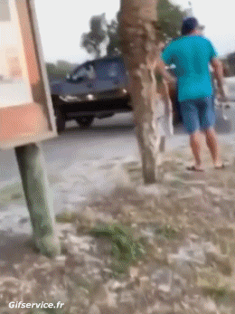 Incidente - Arenamento Barche Trasporti Umorismo -  Fun 