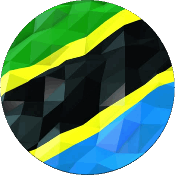 Rond Tanzania Africa Flags 