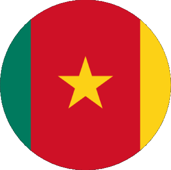 Verschiedene Kamerun Afrika Fahnen 