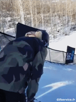 Free Style Fun Win Ski Sports Humour - Fun 