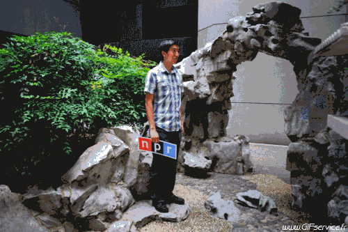 Stéreoscopique Wiggle 3d Effekte Humor -  Fun 