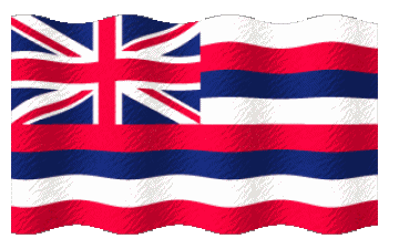 Welligkeit Hawaii U.S.A - States Amerika Fahnen 