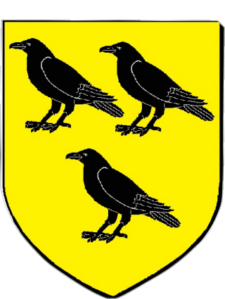 Blason-Blason HOENHEIM 67 Départements - Villes France Drapeaux 