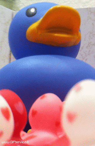 Stéreoscopique Wiggle 3d Effects Humor -  Fun 