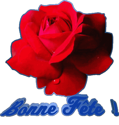 01 Bonne Fête Francés Mensajes 