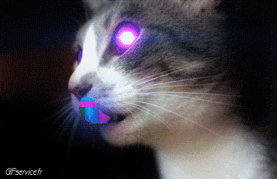 Serie 05 Chats Animaux Humour - Fun 