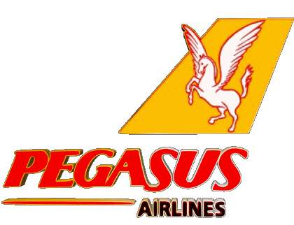 Pegasus Airlines Turchia Asia Aerei - Compagnia aerea Trasporto 