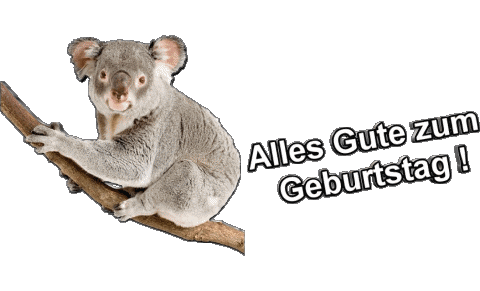013 Tiere Alles Gute zum Geburtstag Tedesco Messagi 