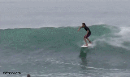 Fun - Win Surf Sports Humor -  Fun 