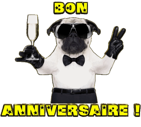 001 Animaux Bon Anniversaire Francés Mensajes 