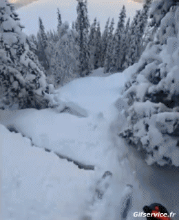 Free Ride Fail - Gamelles Ski Sport Humor -  Fun 