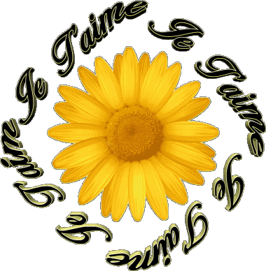 03 Je T'aime French Messages 