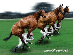 01 Pferde Tiere Humor -  Fun 