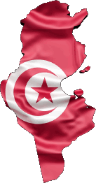 Carte Tunisie Afrique Drapeaux 