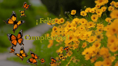 004 Animated Background Mariposas Feliz Cumpleaños Spanish Messages 