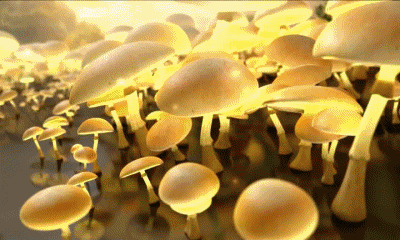 Jingle Pub C8 TV Canali - TV Francia Multimedia 