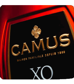 Camus Cognac Drinks 