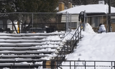 Free Style Fun Win Esquí Deportes Humor - Fun 