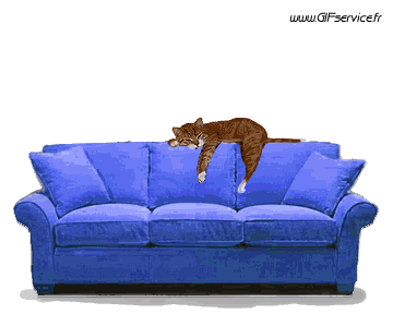 02 Hunde Tiere Humor -  Fun 