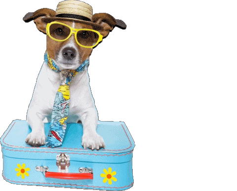 29 Fond Transparent Schöne Ferien Allemand Messages 