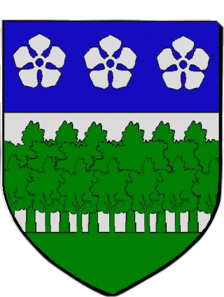 Blasone-Blasone BONDY 93 Dipartimenti - Città Francia Bandiere 