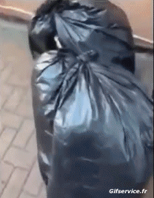 Corona Virus News Humor -  Fun 