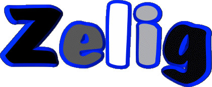 Zelig Z MASCULIN - UK - USA Prénoms 