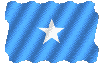 Sventola Somalia Africa Bandiere 