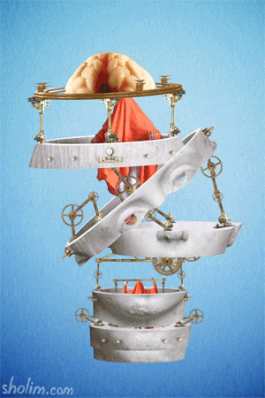 Sholim GIF Artistes Humour - Fun 