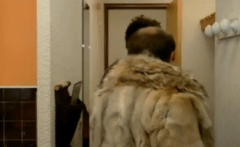 Vous oublié votre sac-Vous oublié votre sac Les Bronzés font du ski Les Bronzés Film Francia Multimedia 