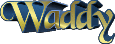 Waddy W MASCULIN - France Prénoms 