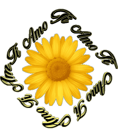 02 Ti Amo Italian Messages 