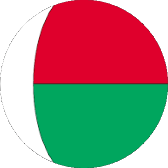 Round Madagascar Africa Flags 