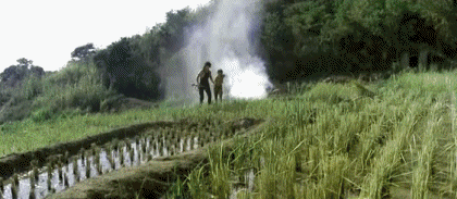 Video First blood PART 2 Rambo Film Internazionale Multimedia 