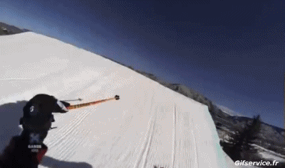 Free Style Fun Win Ski Sport Humor -  Fun 