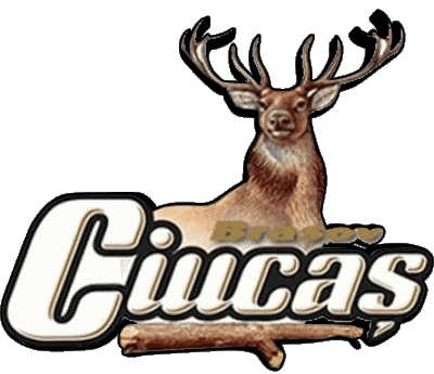 Ciucas Romania Beers Drinks 