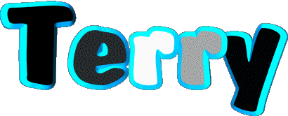 Terry T MASCULIN - UK - USA Prénoms 