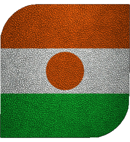 Carré Niger Afrique Drapeaux 