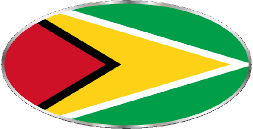 Ovale Guyana America Bandiere 