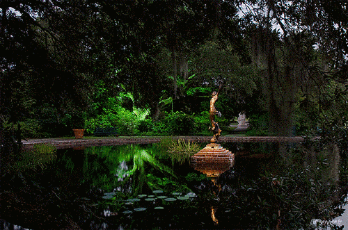 Stéreoscopique Wiggle 3d Effects Humor -  Fun 