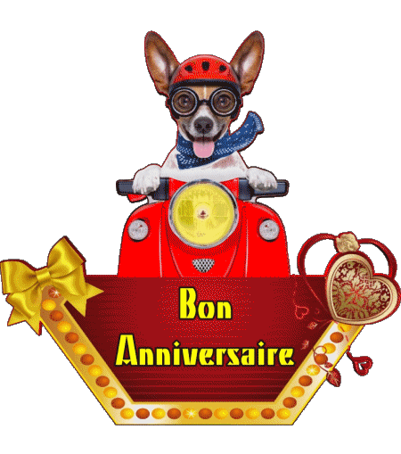 010 Animaux Bon Anniversaire Francés Mensajes 