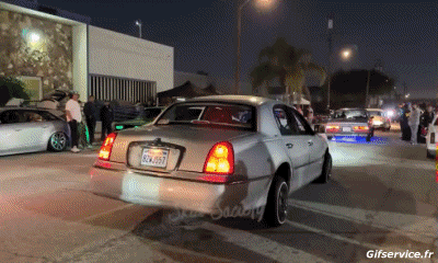 Lowriding Cars Transport Humor -  Fun 