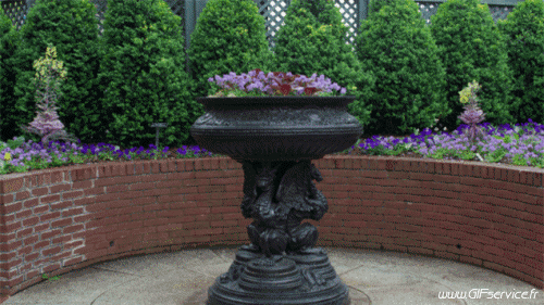 Stéreoscopique Wiggle Efectos 3d Humor - Fun 