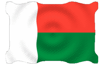 Ondulación Madagascar África Banderas 